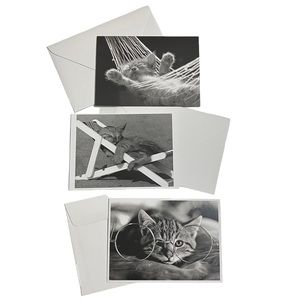 Classic Cats Graphique De France David McEnery Blank Cards w Envelopes Lot of 3